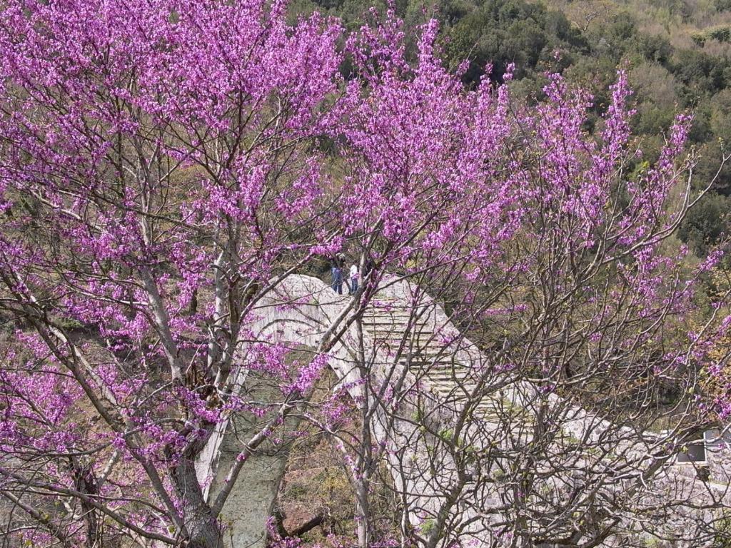 Anavasi Mountain Resort Pramanta Dış mekan fotoğraf